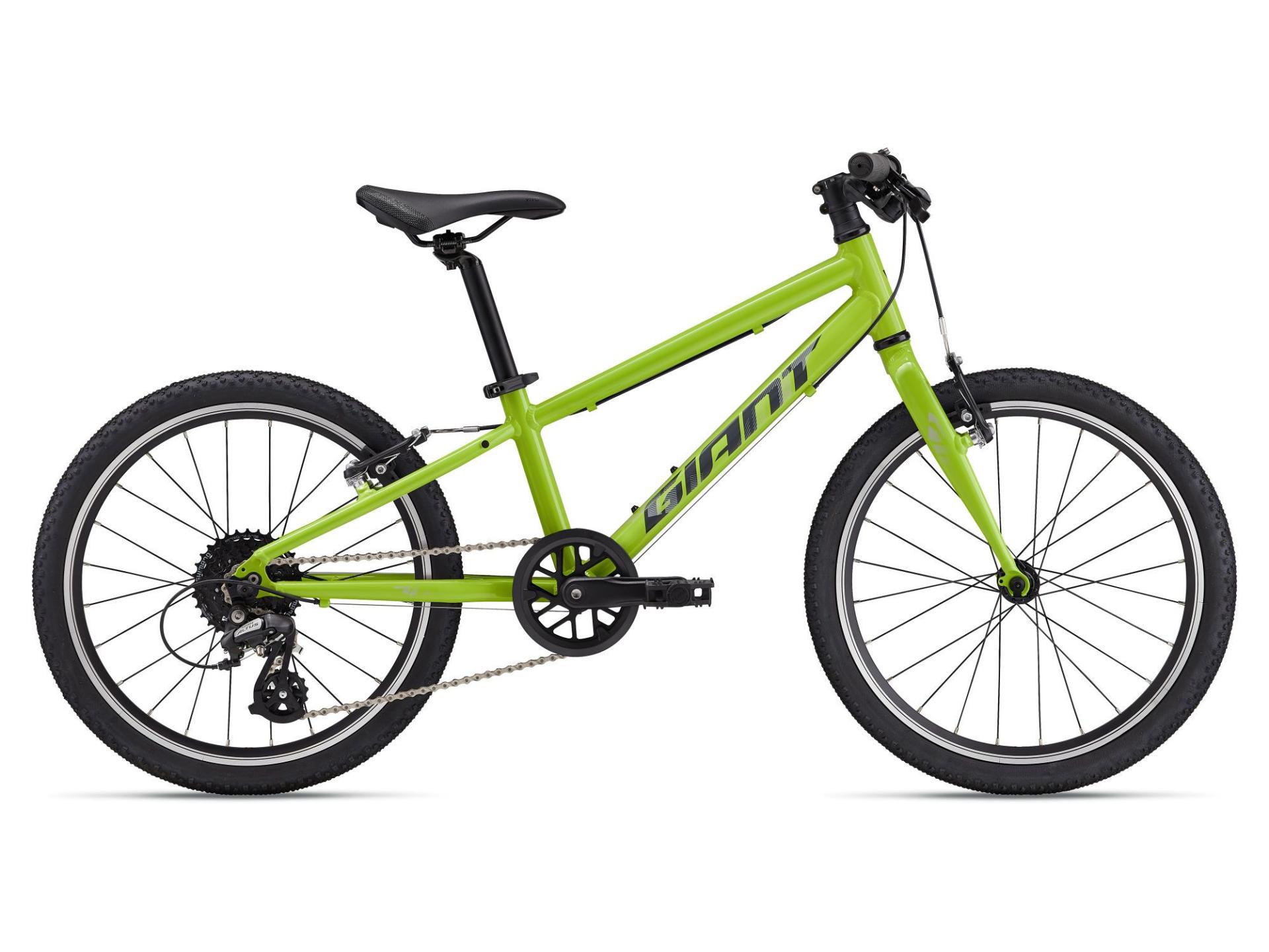 KOLO GIANT ARX 20